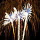 Feuerwerk zum Sommerfest 06556 Artern Bild Nr. 9