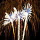 Feuerwerk zum Sommerfest 97688 Bad Kissingen Bild Nr. 15
